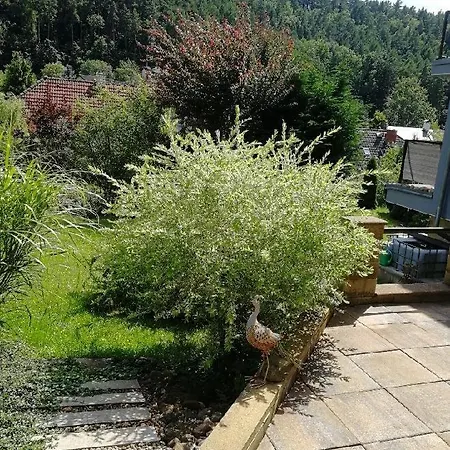 červený Vrch