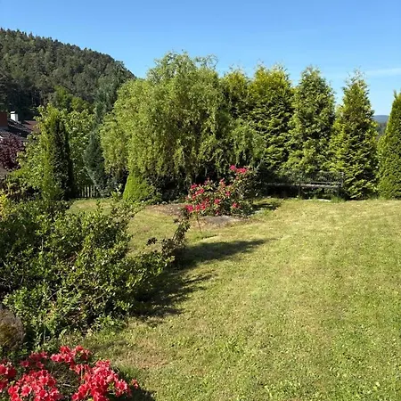 červený Vrch * Decin